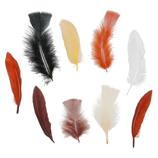12 Pack: Neutral Craft Feathers by Creatology&#x2122;
